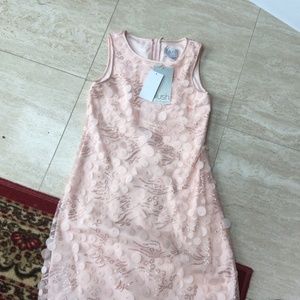 Blush dress